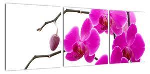 Obraz orchidejí na zeď (90x30cm)