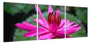 Obraz květu (90x30cm)