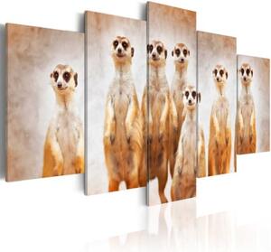 Obraz - Family of meerkats