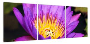 Obraz květiny (90x30cm)