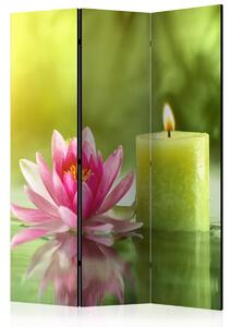 Paraván lotos a svíce Velikost (šířka x výška): 225x172 cm