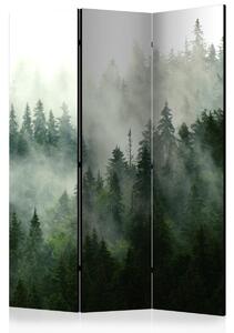 Murando DeLuxe Paraván jehličnatý les Velikost: 135x172 cm