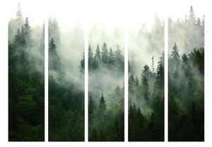 Murando DeLuxe Paraván les v mlze I Velikost: 225x172 cm