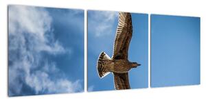 Obraz letícího ptáka (90x30cm)