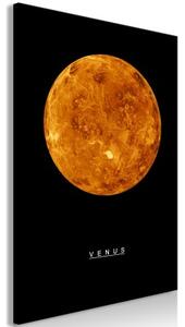 Obraz - Venus (1 Part) Vertical