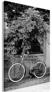 Obraz - Bicycle and Flowers (1 Part) Vertical