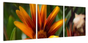 Obraz detailu květiny (90x30cm)