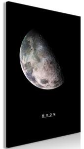 Obraz - Moon (1 Part) Vertical