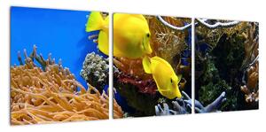 Podmořský svět - obraz (90x30cm)