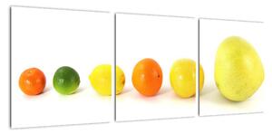 Obraz - ovoce (90x30cm)
