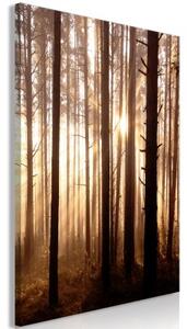 Obraz - Forest Paths (1 Part) Vertical