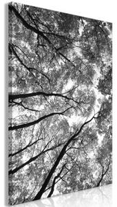 Obraz - High Trees (1 Part) Vertical