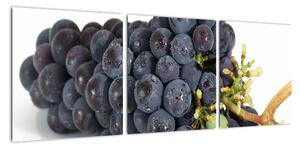 Obraz s hroznovým vínem (90x30cm)