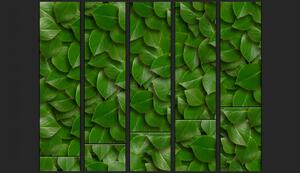 Murando DeLuxe Zelené brány Klasické tapety: 50x1000 cm - vliesové