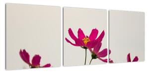 Obraz květin na stěnu (90x30cm)