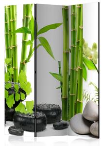 Paraván bambusové stvoly Velikost (šířka x výška): 225x172 cm