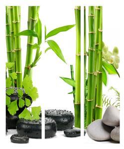 Paraván bambusové stvoly Velikost (šířka x výška): 135x172 cm