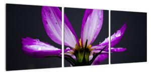 Obraz - květiny (90x30cm)