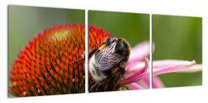 Obraz včely na květu (90x30cm)