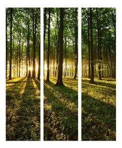 Paraván lesní úsvit Velikost (šířka x výška): 135x172 cm