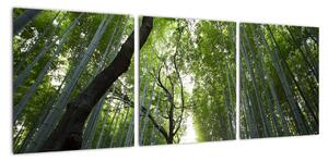 Obraz lesů (90x30cm)