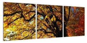 Obraz podzimní krajiny (90x30cm)