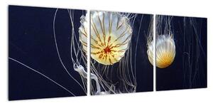Obraz - medúzy (90x30cm)