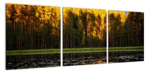 Obraz - podzimní krajina (90x30cm)