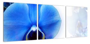 Obraz s orchidejí (90x30cm)