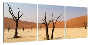 Obraz pouště (90x30cm)