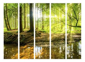 Paraván lesní probuzení Velikost (šířka x výška): 225x172 cm
