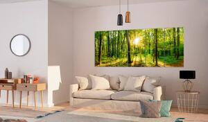 Malvis Pětidílný obraz - magický les Velikost: 200x80 cm