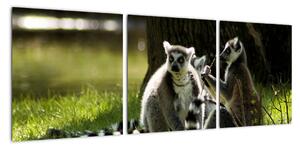Obraz lemurů (90x30cm)