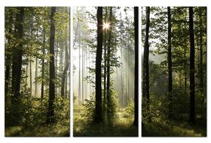 Třídílný obraz lesní kouzlo + háčky a hřebíčky ZDARMA Velikost (šířka x výška): 105x70 cm