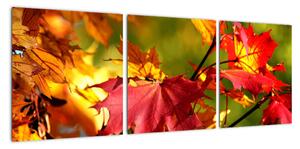 Podzimní listí, obraz (90x30cm)