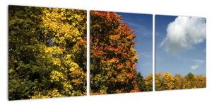 Podzimní krajina, obraz (90x30cm)