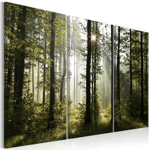 Malvis Lesní vítání Velikost: 150x100 cm