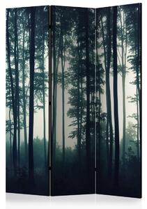 Murando DeLuxe Paraván tmavý les I Velikost: 135x172 cm