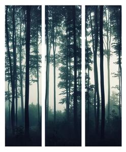 Paraván temný les Velikost (šířka x výška): 225x172 cm