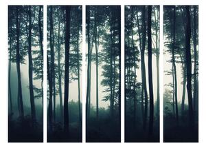 Paraván temný les Velikost (šířka x výška): 225x172 cm