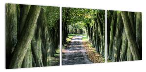 Údolí stromů, obrazy (90x30cm)
