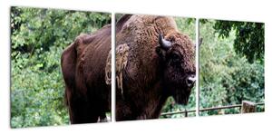 Obraz s americkým bizonem (90x30cm)