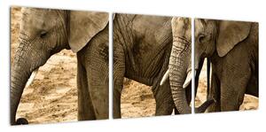 Slon, obraz (90x30cm)