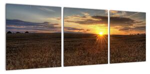 Západ slunce na poli - obraz na stěnu (90x30cm)