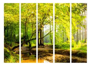 Paraván lesní potok Velikost (šířka x výška): 225x172 cm
