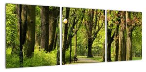 Cesta v parku - obraz (90x30cm)