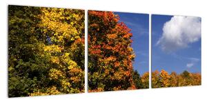 Podzimní stromy - obraz do bytu (90x30cm)