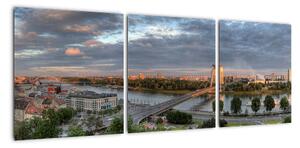 Pohled na město - obraz (90x30cm)