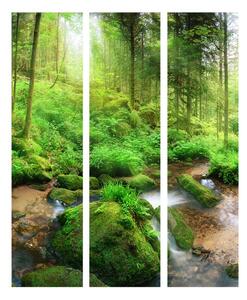 Paraván lesní kouzlo Velikost (šířka x výška): 225x172 cm