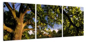 Obrázek stromu - moderní obrazy (90x30cm)